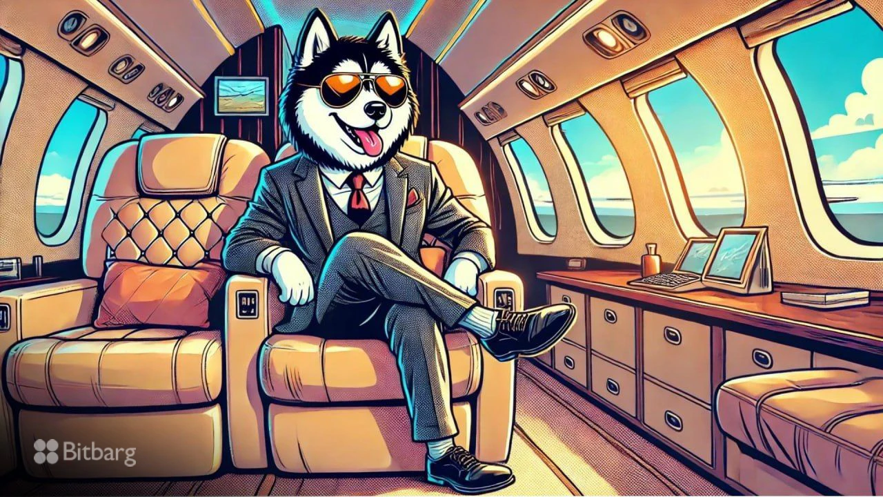 سرمایه‌گذاری