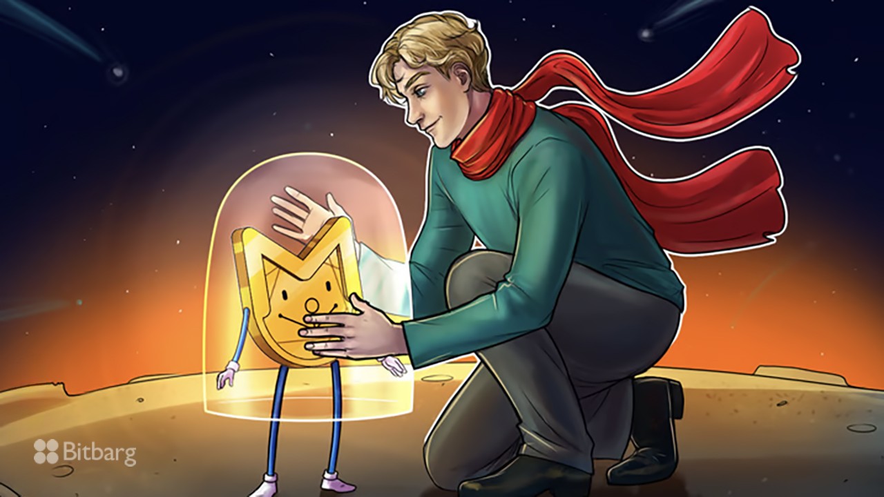 سرمایه‌گذاری