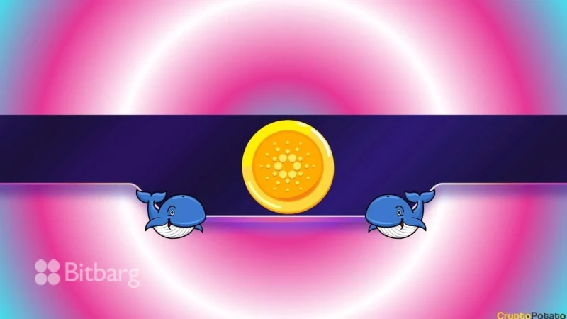 تحلیل
