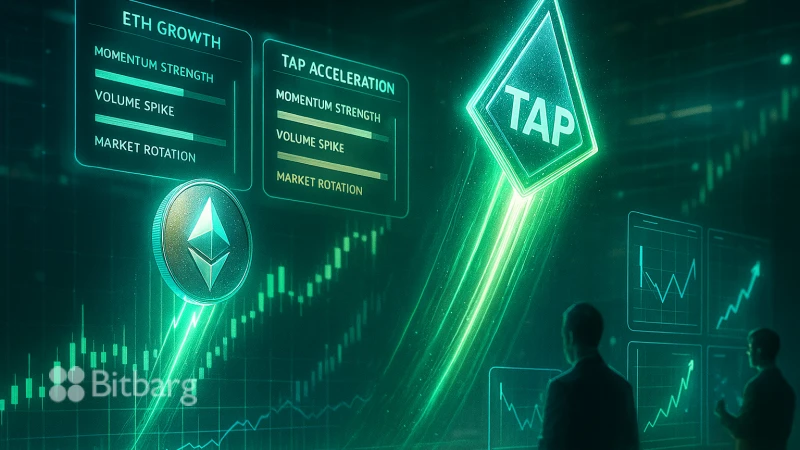 سرمایهگذاری