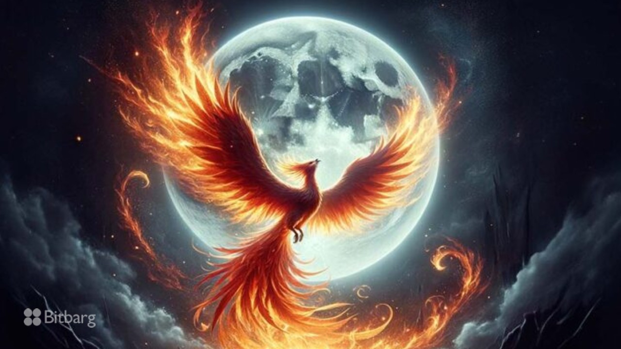 سرمایه‌گذاری