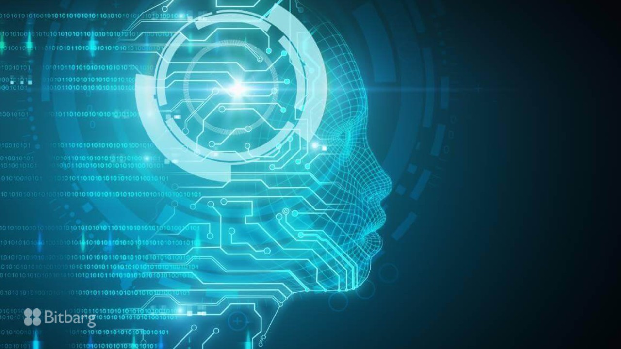 قانون‌گذاری