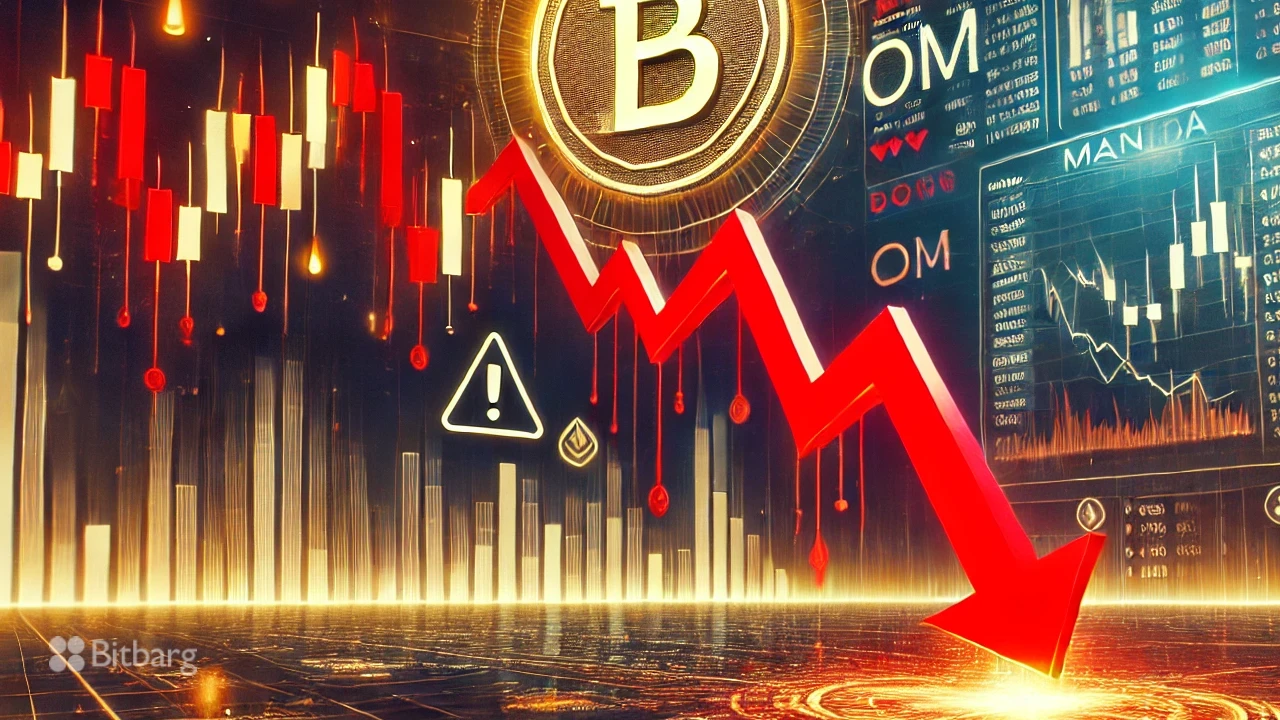 سرمایه‌گذاری