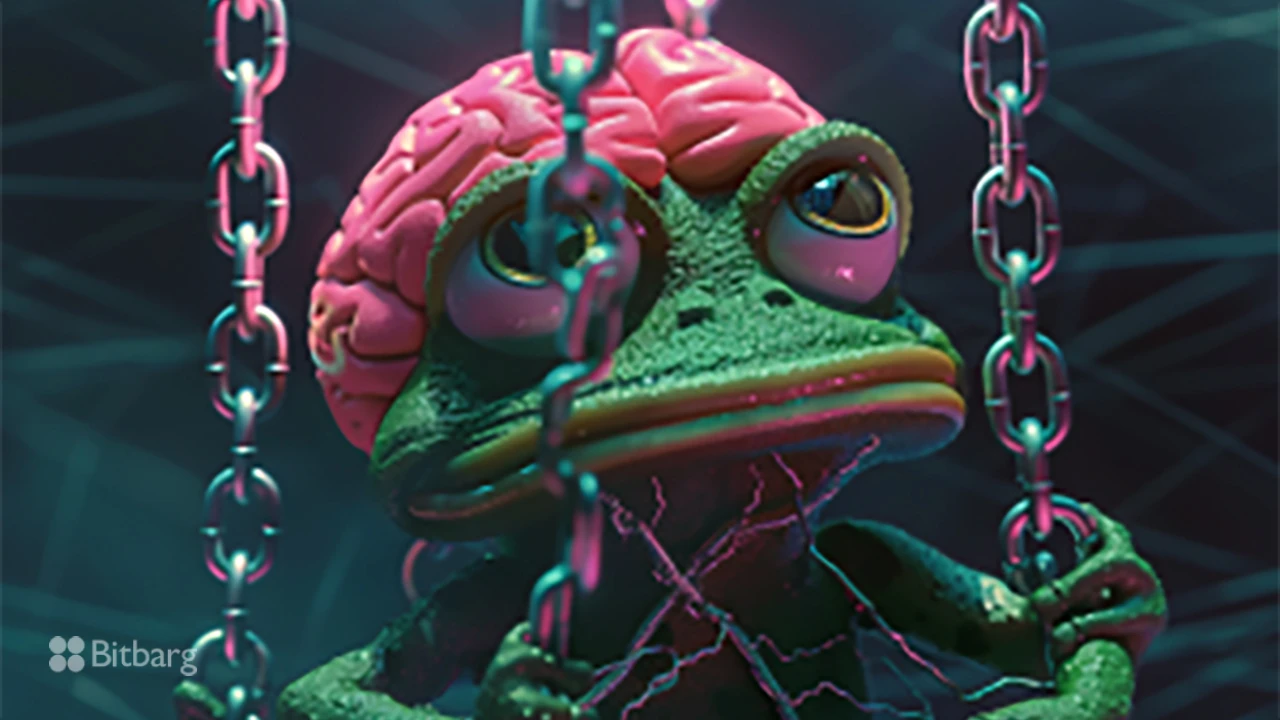 سرمایه‌گذاری