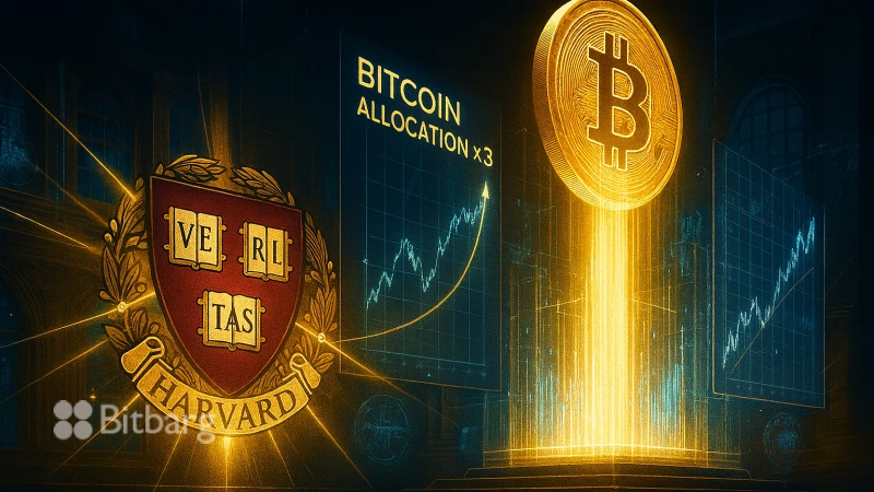 سرمایهگذاری