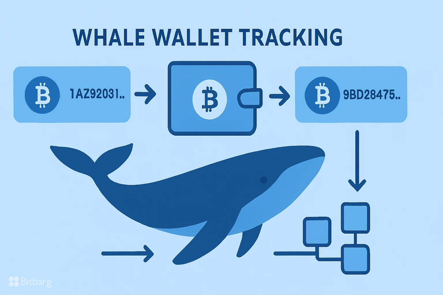 نحوه ردیابی کیف پول نهنگهای بزرگ