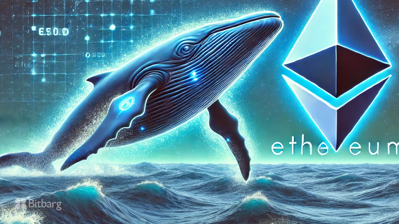 سرمایه‌گذاری