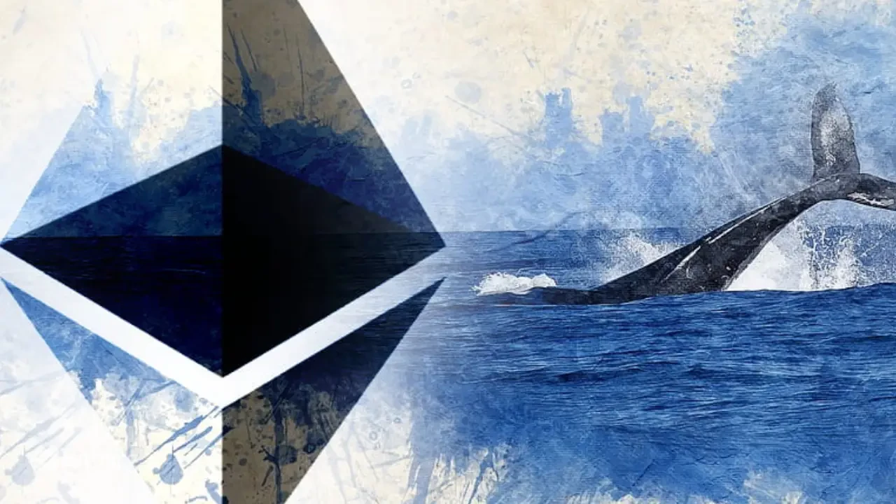 سرمایه‌گذاری