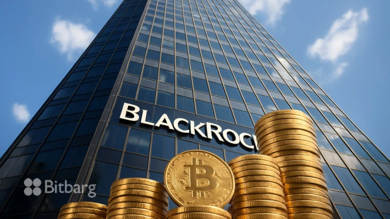 سرمایهگذاری