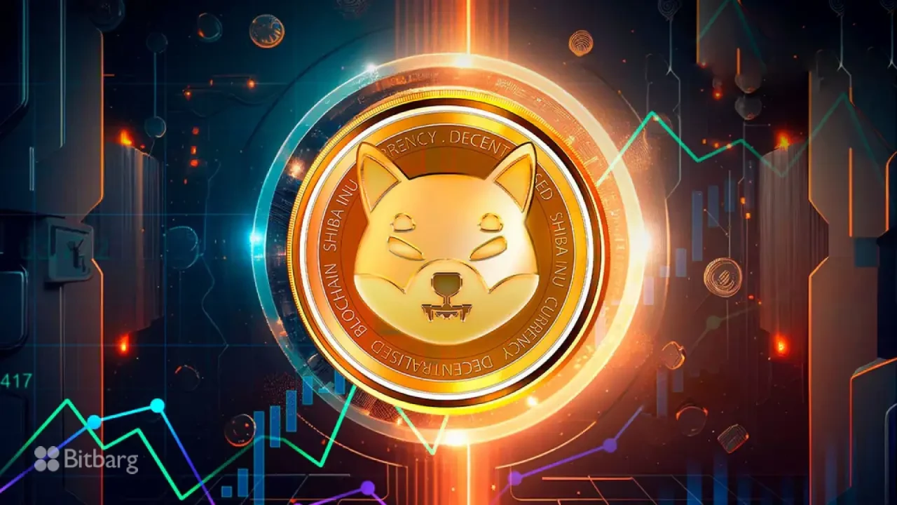 سرمایه‌گذاری