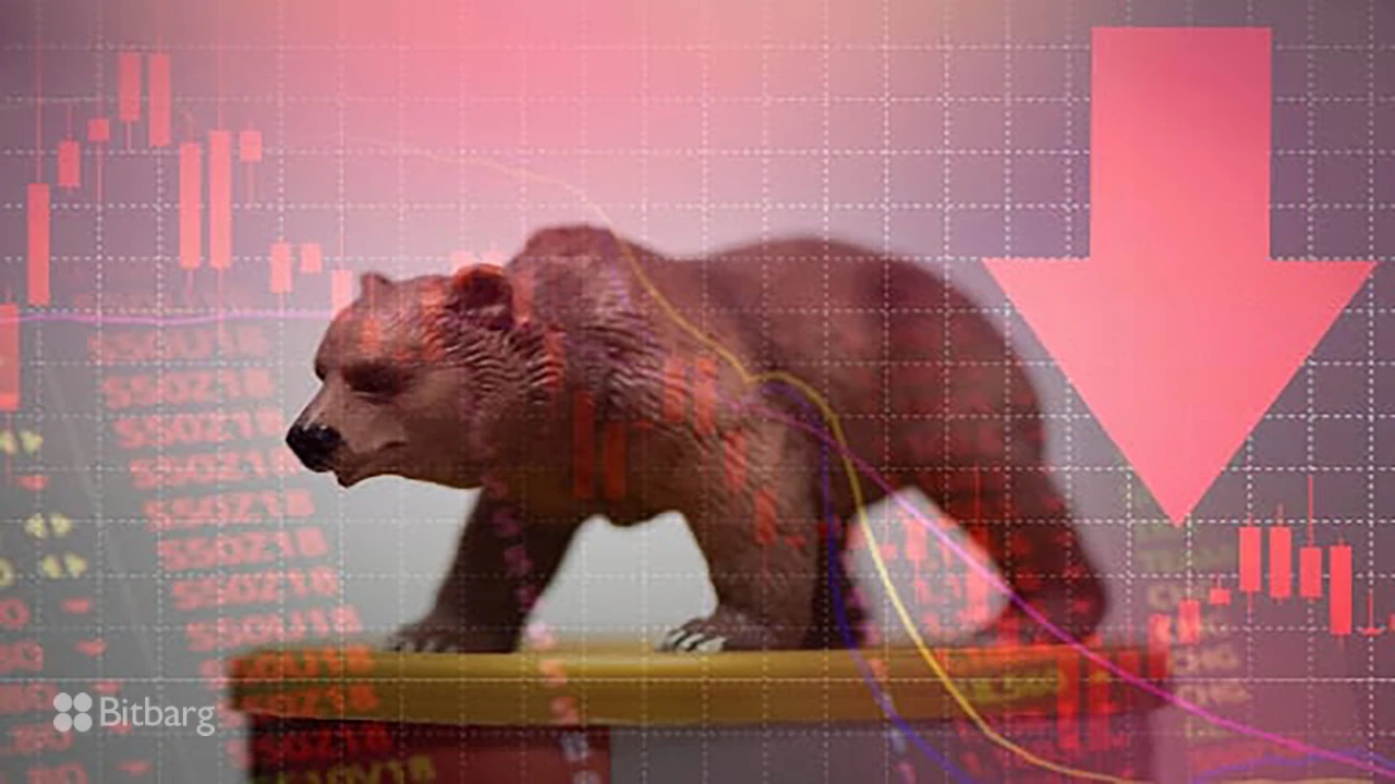 سرمایه‌گذاری