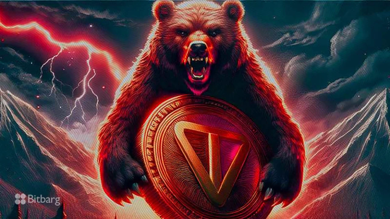 سرمایه‌گذاری